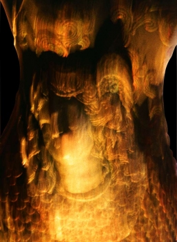 Medusa, 2001